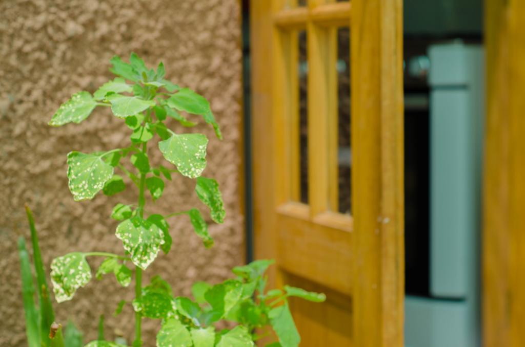 Hostal Alabalti Сан Педро де Атакама Екстериор снимка